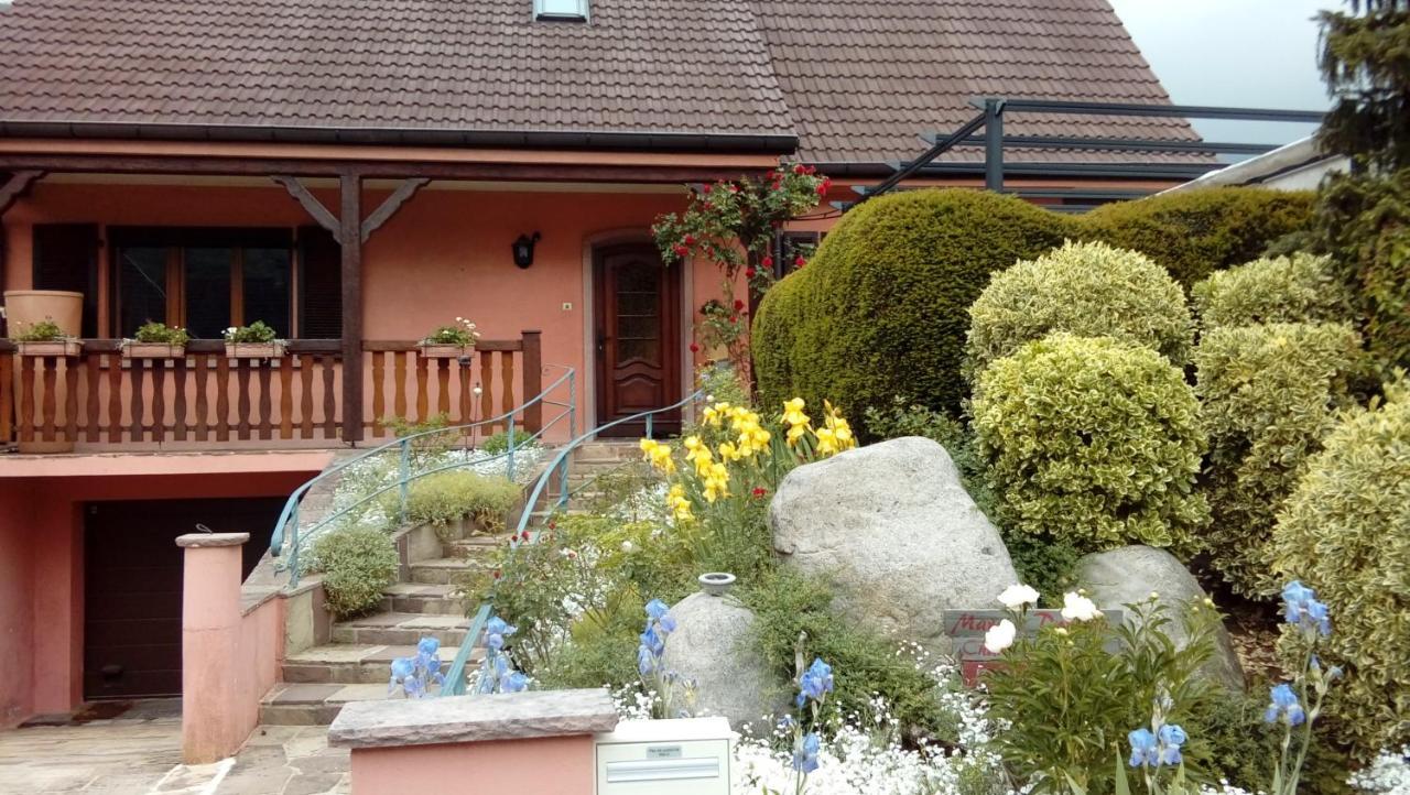 Marcia Donatti-A L'Ombre Des Coteaux Rio De Janeiro Acomodação com café da manhã Kaysersberg-Vignoble Exterior foto